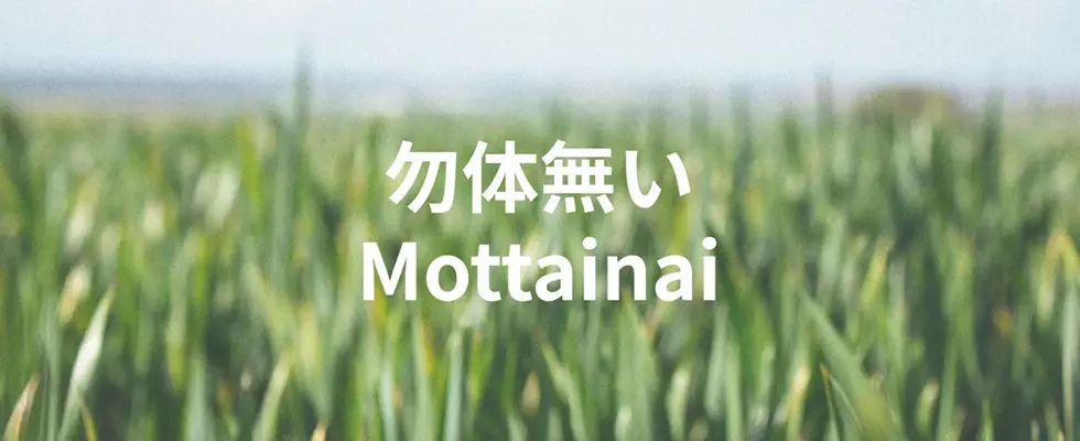 ‘What a waste’ Japanese spiritual traditions of Mottainai as sustainable environmental practice