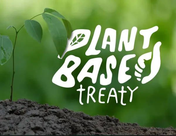Interfaith leaders urge UN’s COP26 to adopt Plant Based Treaty