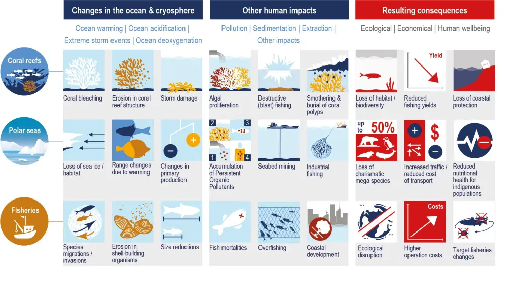 marine organisms, food-webs and ecosystems