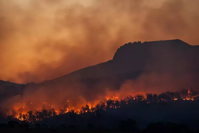 UNEP: Number of wildfires to rise by 50%