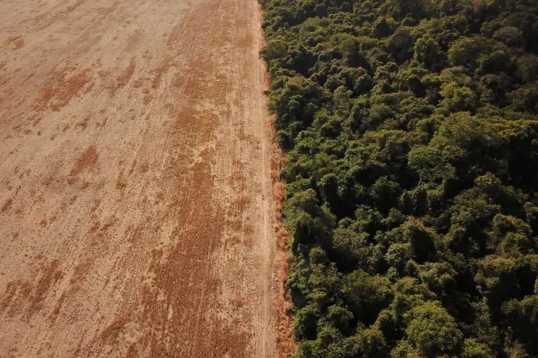 Brazil sets ‘worrying’ new Amazon deforestation record
