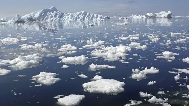 A Warming Arctic is a Warning for the World
