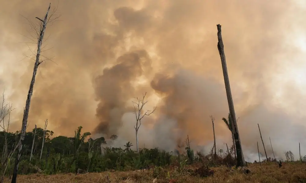 smoke rises as the Amazon burns