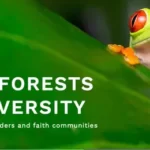 Tropical Forests and Biodiversity: A new primer for Religious Leaders and Faith Communities