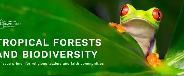Tropical Forests and Biodiversity: A new primer for Religious Leaders and Faith Communities