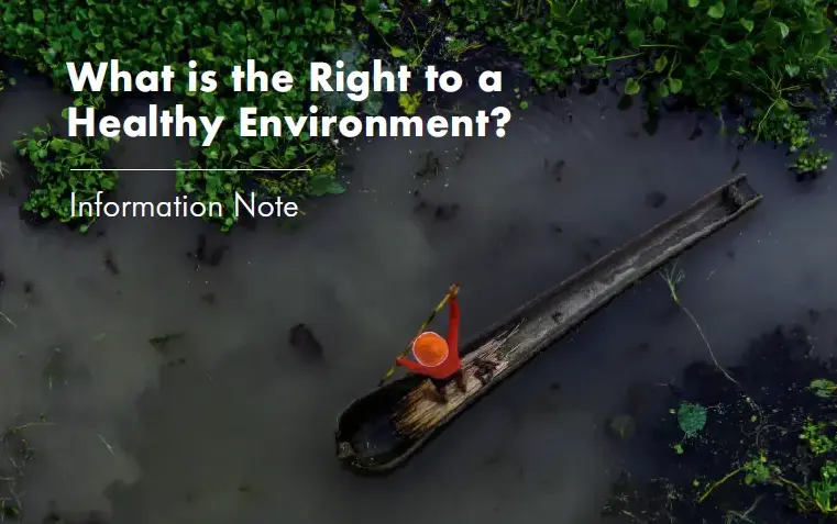 The Right to a Healthy Environment – Information Note