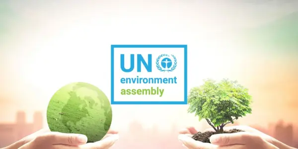 UN Environment Assembly (UNEA-6)