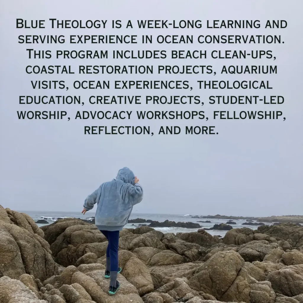Youth Groups and Blue Theology 