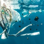 Plastic Pollution, Including in the Marine Environment