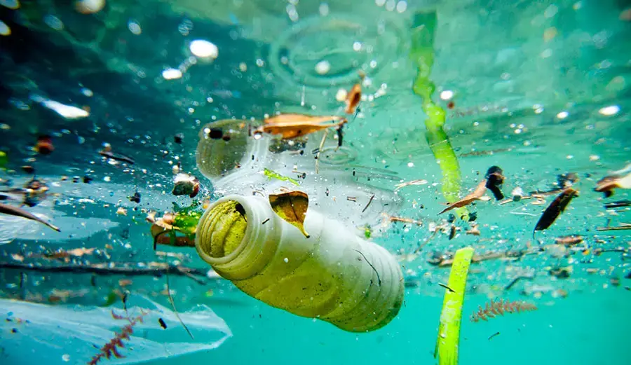 Plastic Pollution, Including in the Marine Environment 